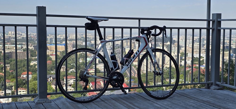 Giant TCR Advanced