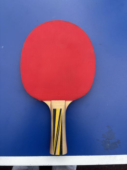 paleta ping pong donic