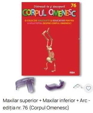 Corpul Omenesc numerele 76-79