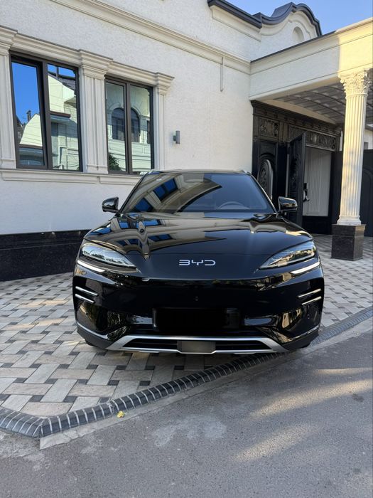 Byd chempion smart
