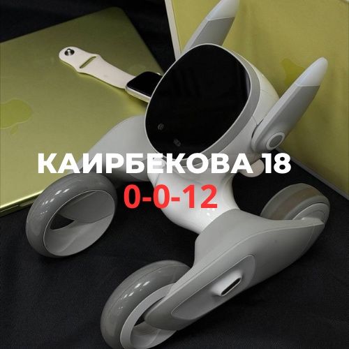PetBot LOONA | BaiTime