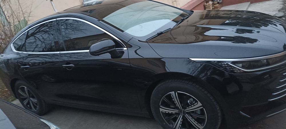 BVD Чазор 2023 Краска тозза 100%. 120 кмлиги.