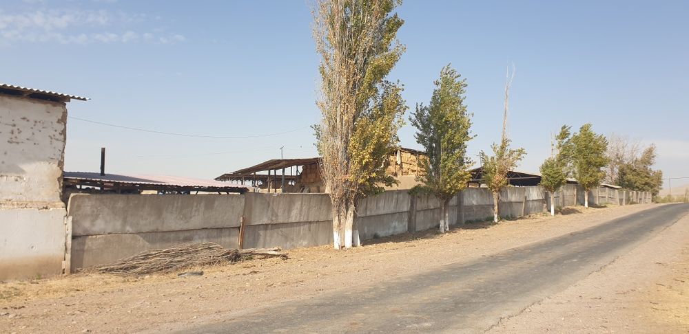 Ферма сотилади 1.5 гектар