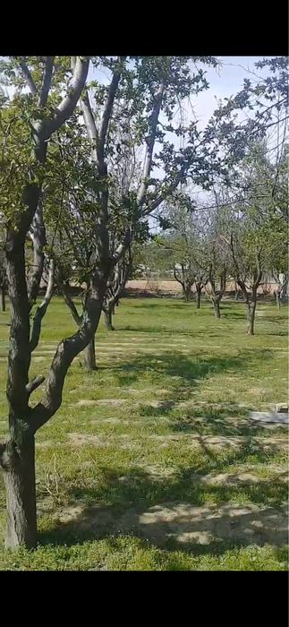 Yangiyo‘lda zo‘r joyda uchastka sotiladi!