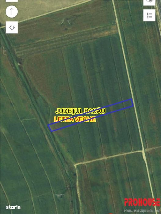 Letea Veche- Holt - 3.600mp - extravilan