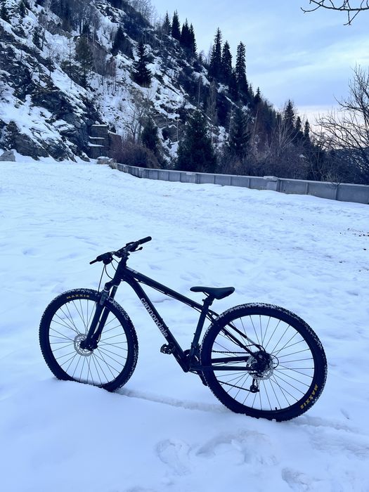 Cannondale trail 7 M 2021