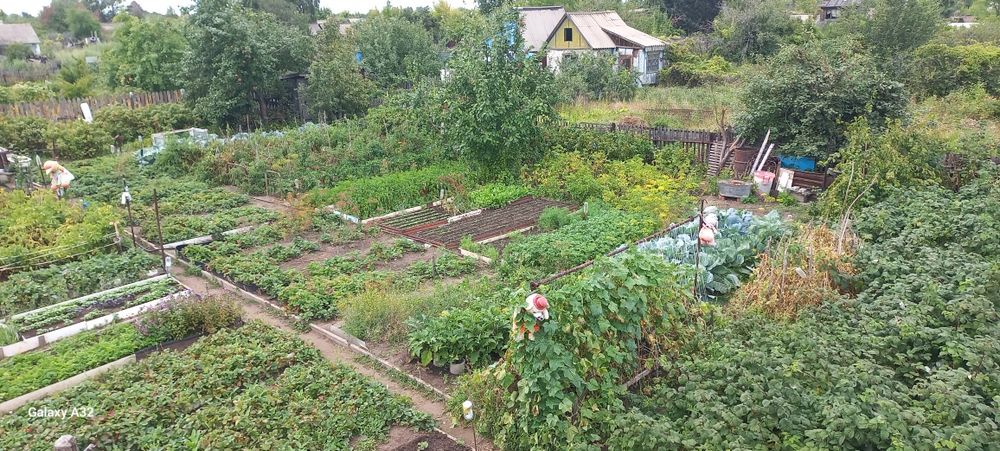 Продам  ухоженную дачу