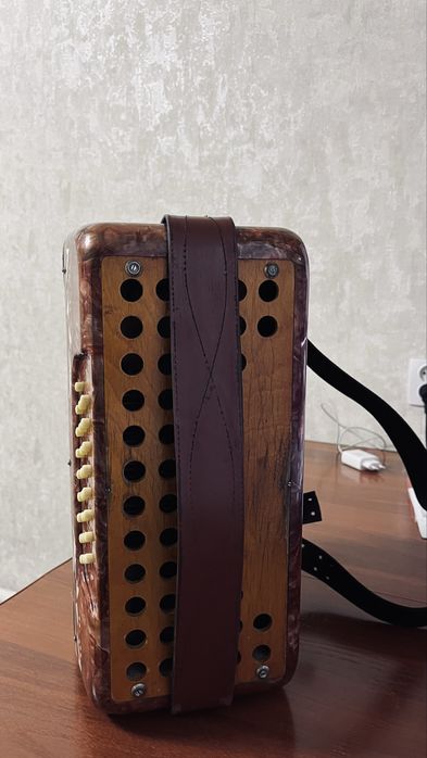 Гармошка с футляром.