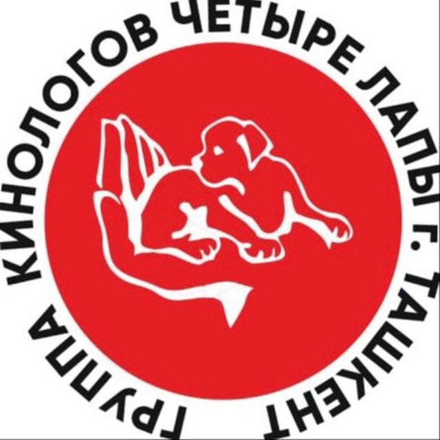 Профессиональная дрессировка