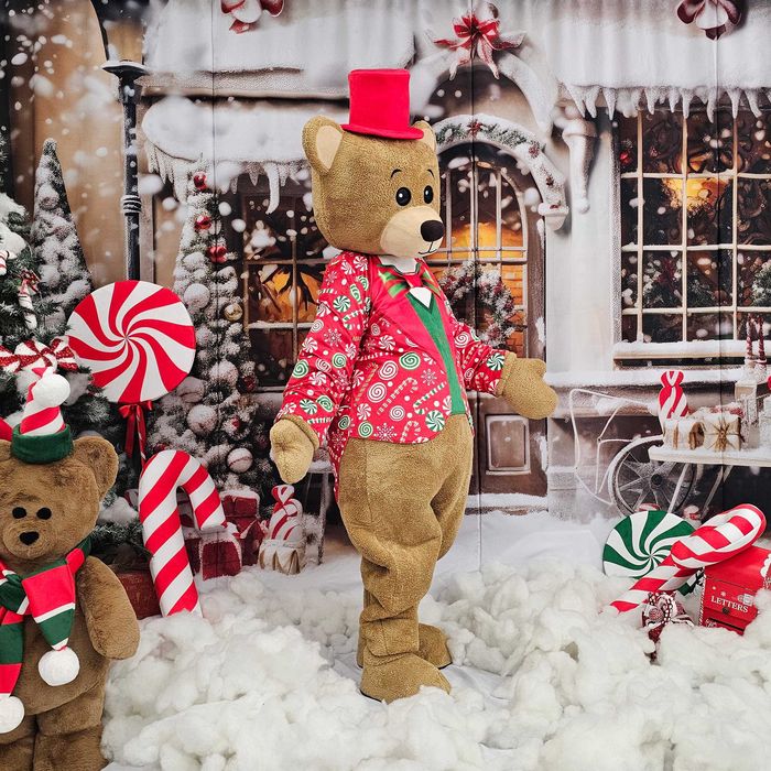 Costum Mascotă Urs de Crăciun Profesional, Mascotă Teddy Bear Crăciun, Cost Urs Evenimente, Mascotă Premium Handmade