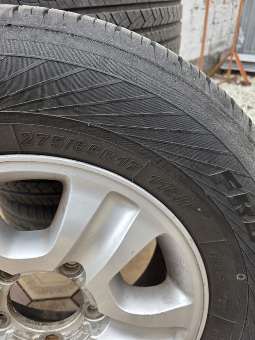 Шигы с диками летние