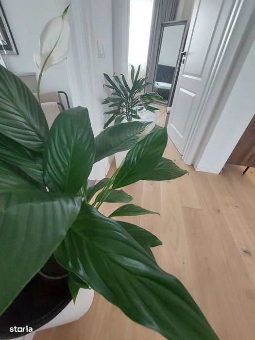 Casă "Ready to move "  Oradea !!!