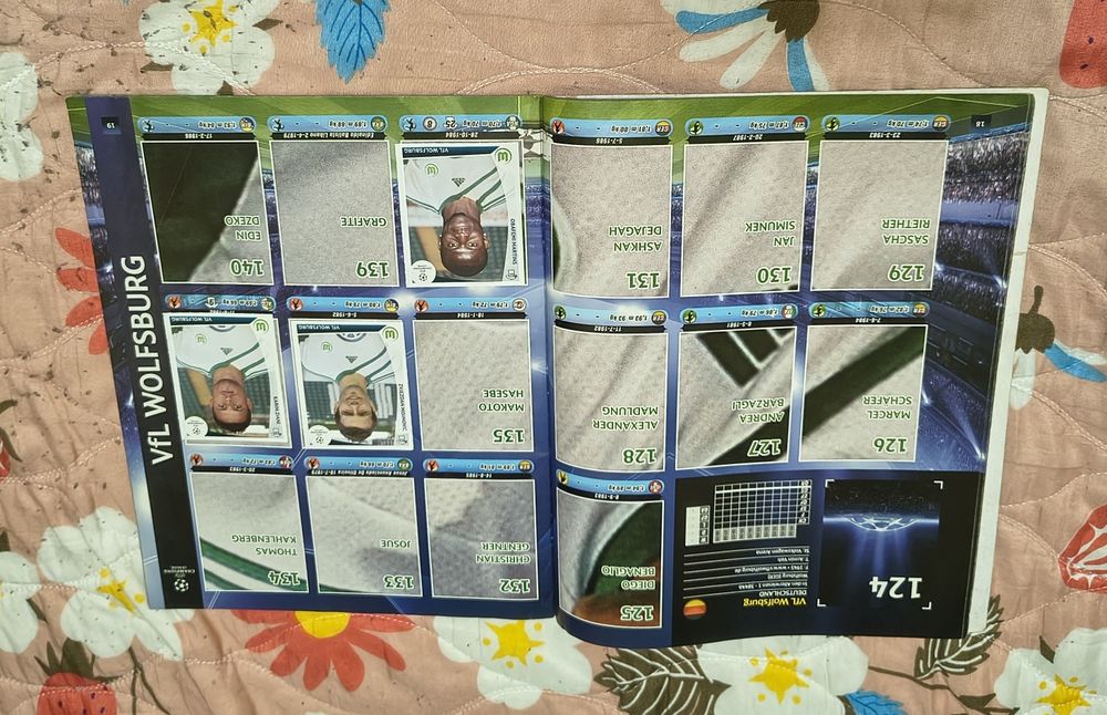 Albume UCL Panini