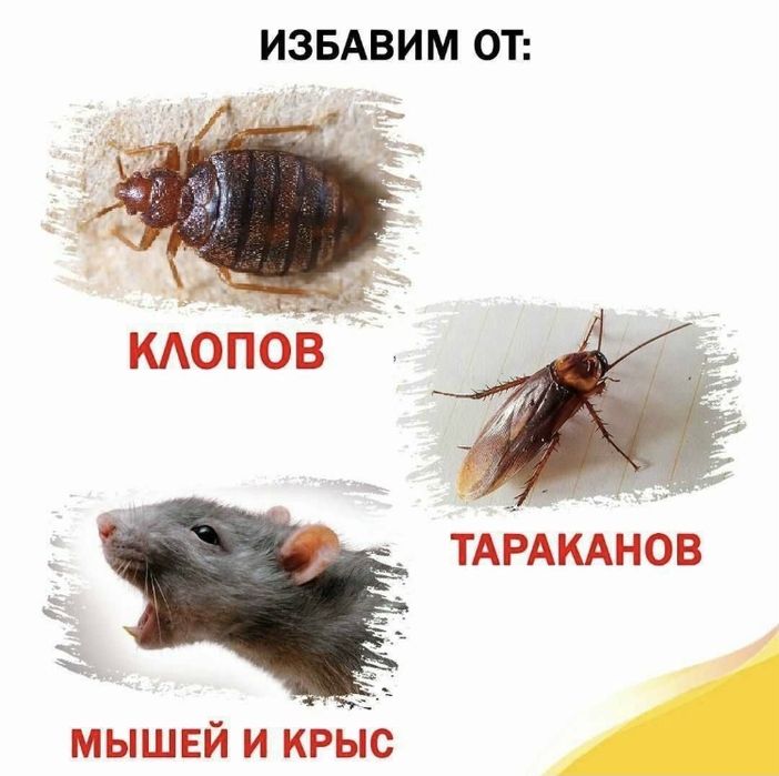 СКИДКИ 20%Дезенфекция дизенфекция дезинфекция дизинфекция dizinfeksiya