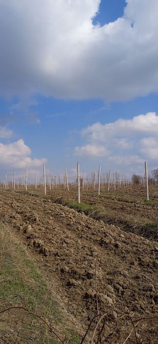 Шпалер сотилади.