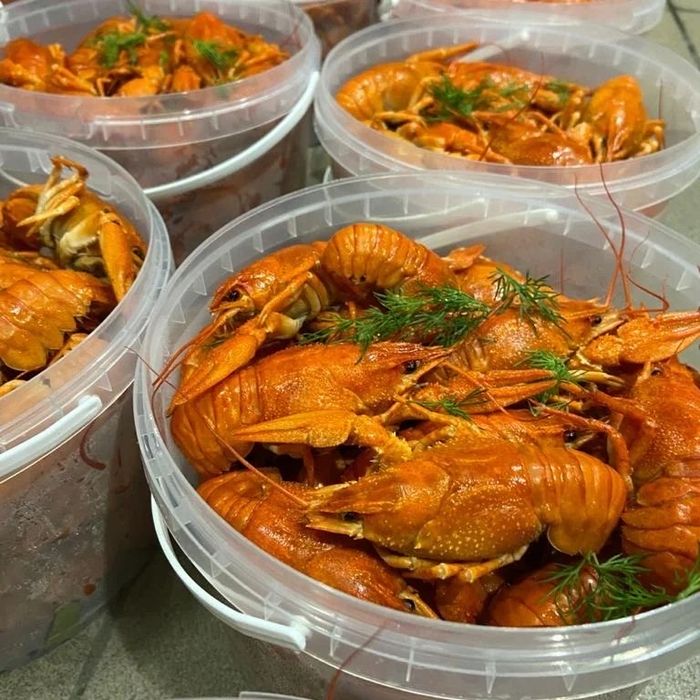 Свежие, сочные раки г.Алматы