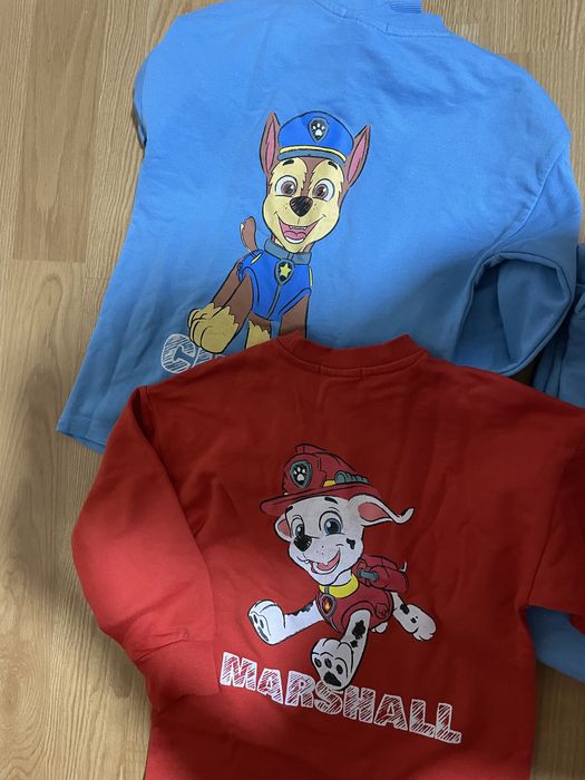 Treninguri patrula catelusilor 122 tot 70lei