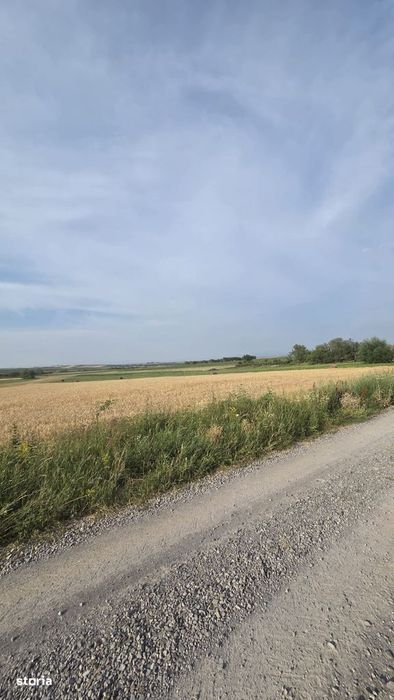 Teren intravilan de vanzare – Viile Satu Mare