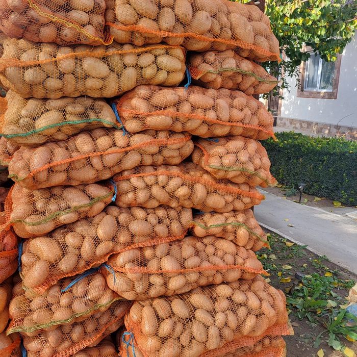 Vând cartofi de consum