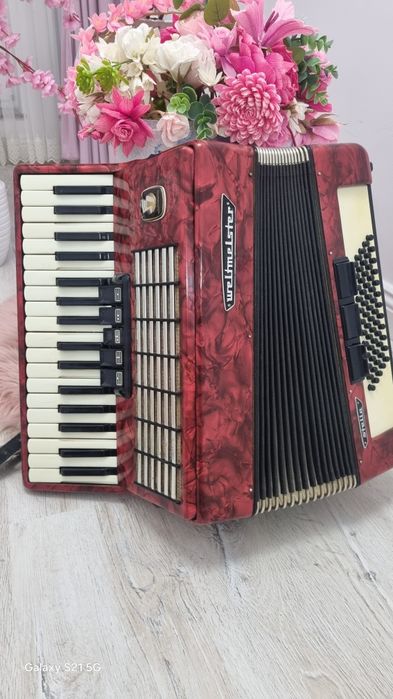 Acordeon weltmaister