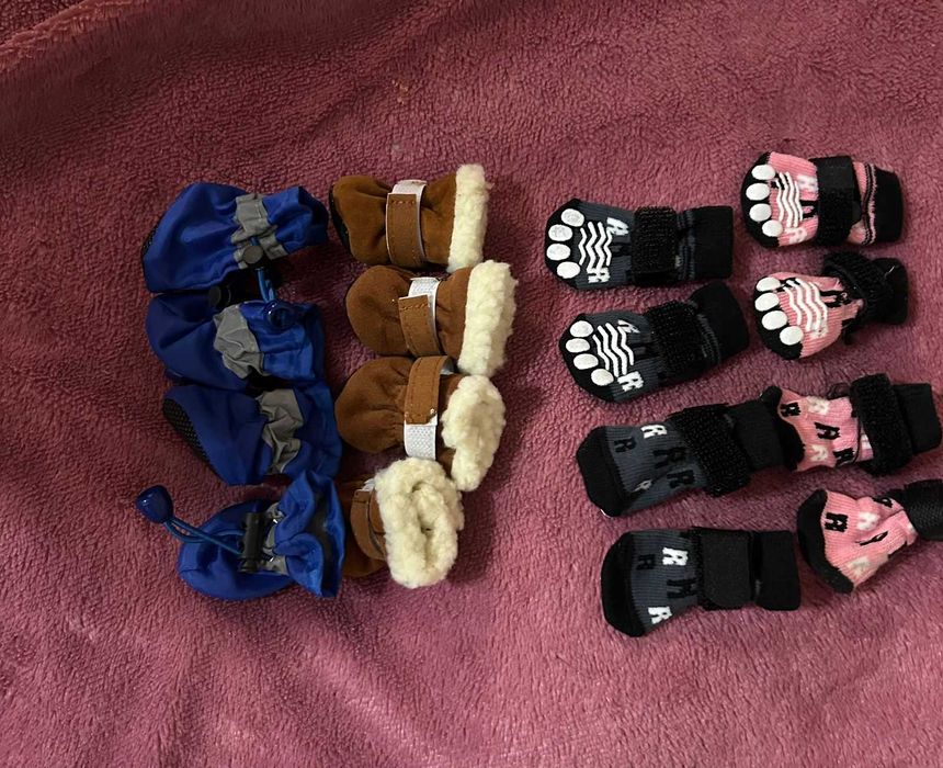 Одежда для собак.