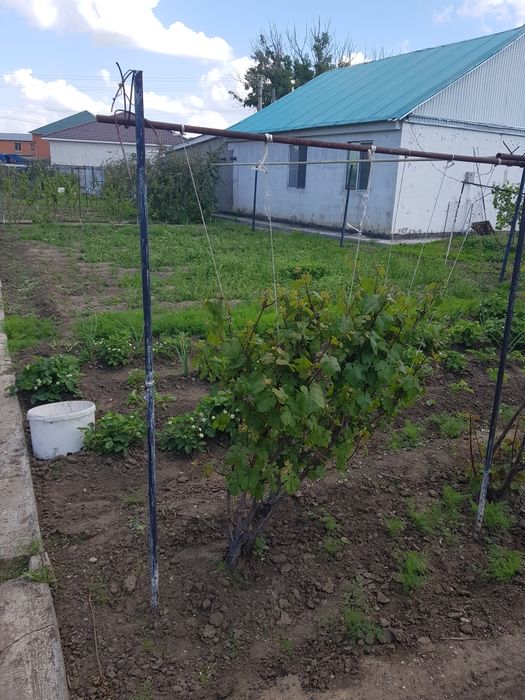 Продам дачный участок с домиком