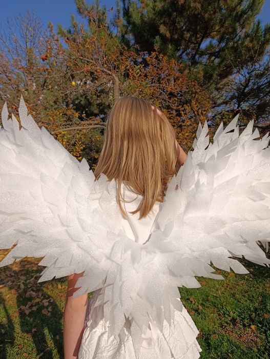 Белые крылья ангела
