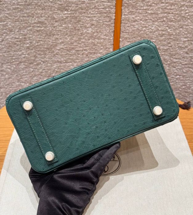 Geanta Hermes Birkin Ostrich 25