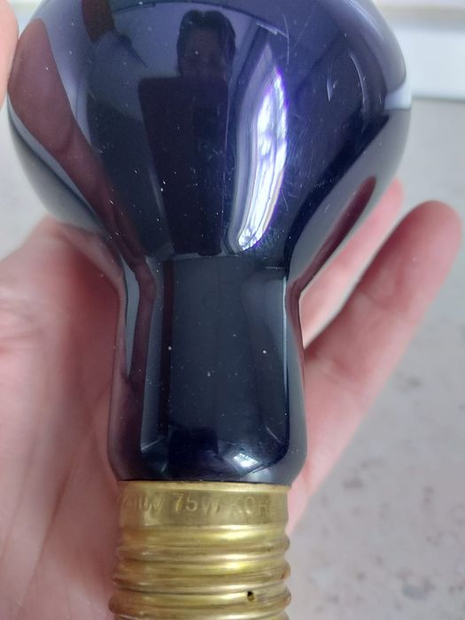 Bec de incalzire pentru reptile