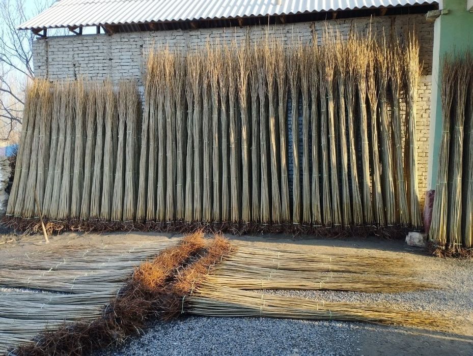 Terak kuchatlarimiz bor Fargona uchkuprikda