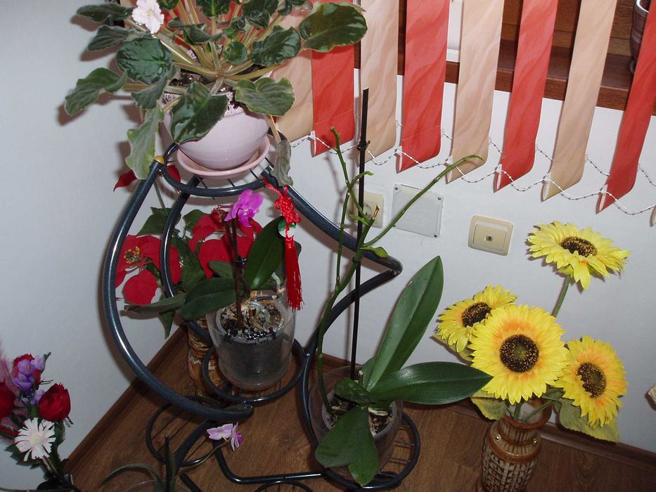 Olympus Camedia Digital C-470 Zoom