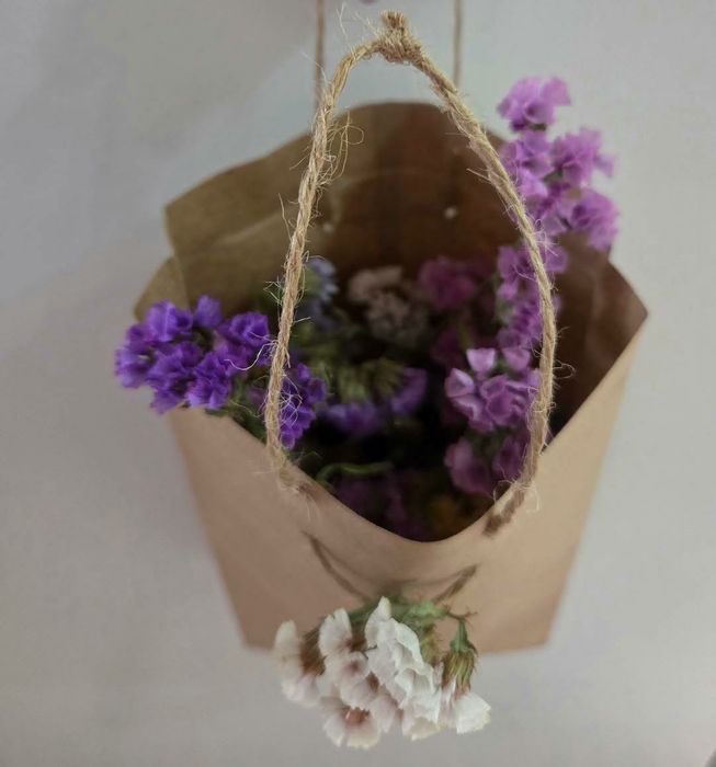 Сухоцветы для творчества