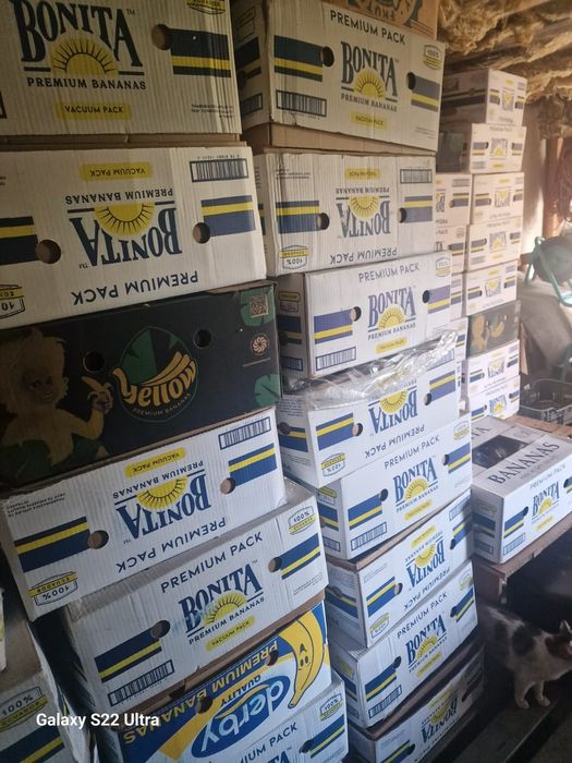 Vând baxuri noi!