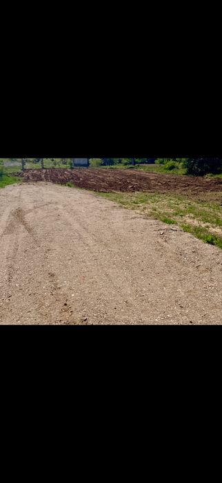 Vand 1000mp langa  padurea Ordoreanu