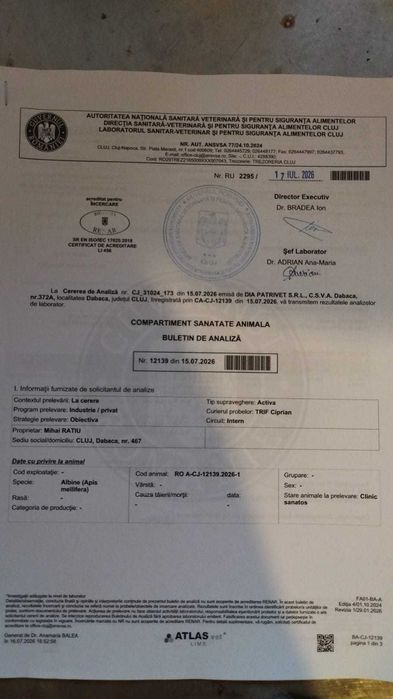 MIERE NATURALĂ de albine, direct de la producator