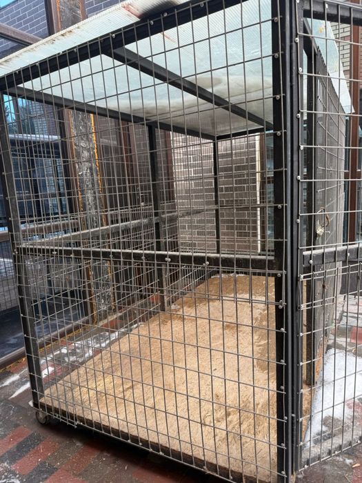 Вольер для собаки