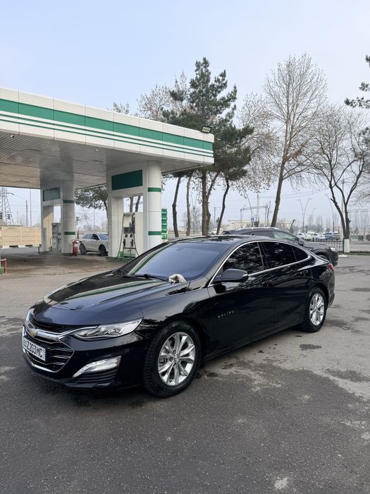 Malibu 2 Premier 2022