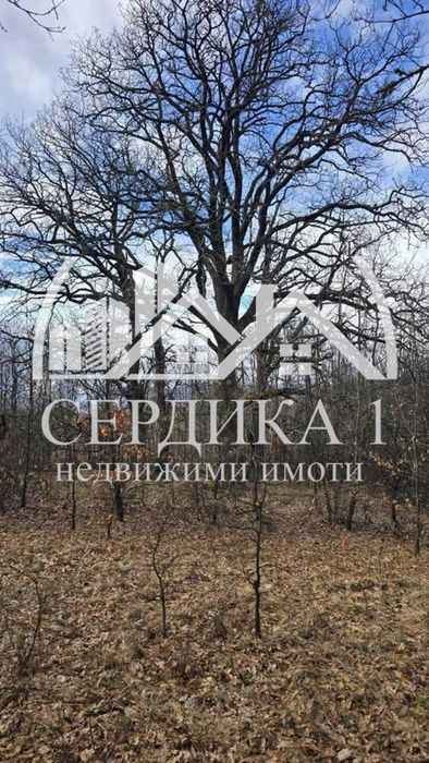Къща в София, област-с.Дреново
