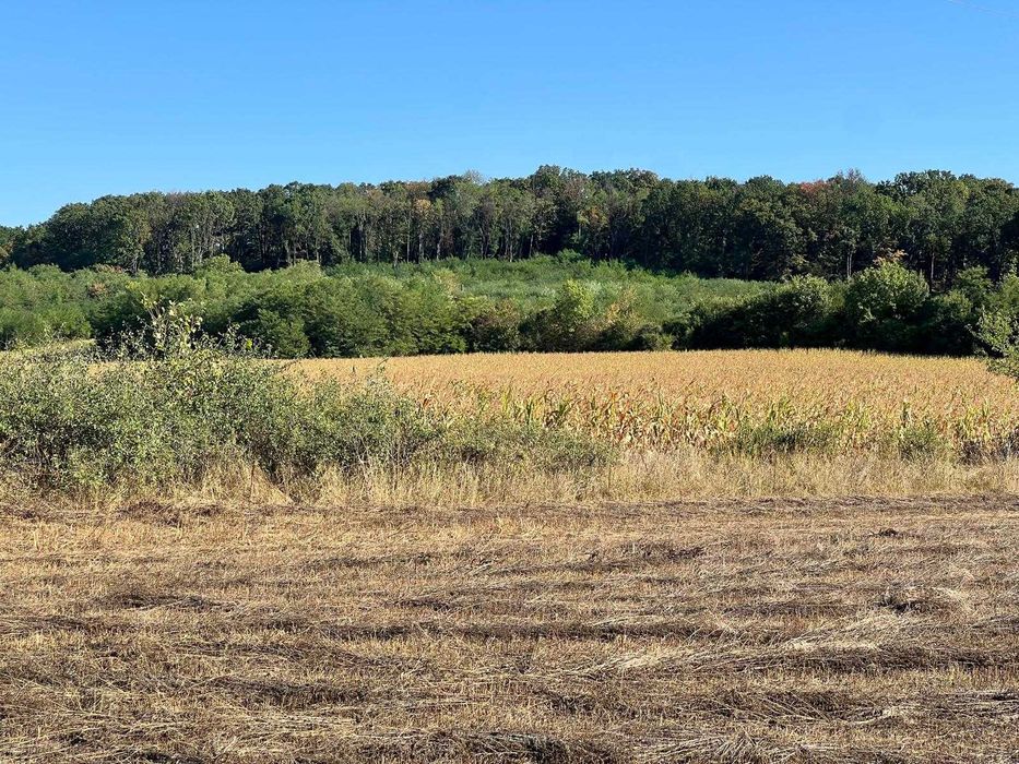 Teren de vanzare - Comuna Podenii Noi