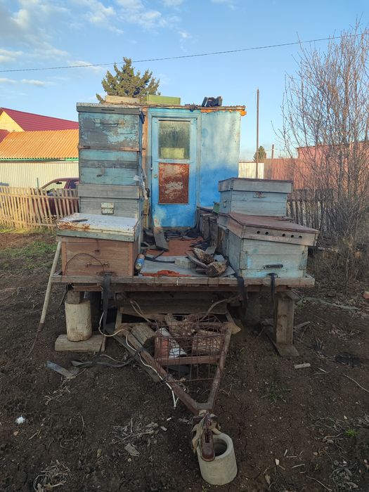 Продам пчеловодный прицеп
