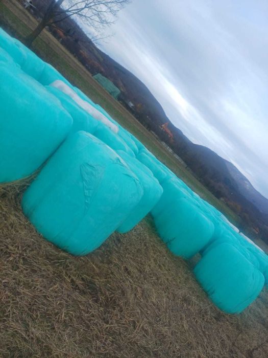 Vând baloți de lucernă înfoliati