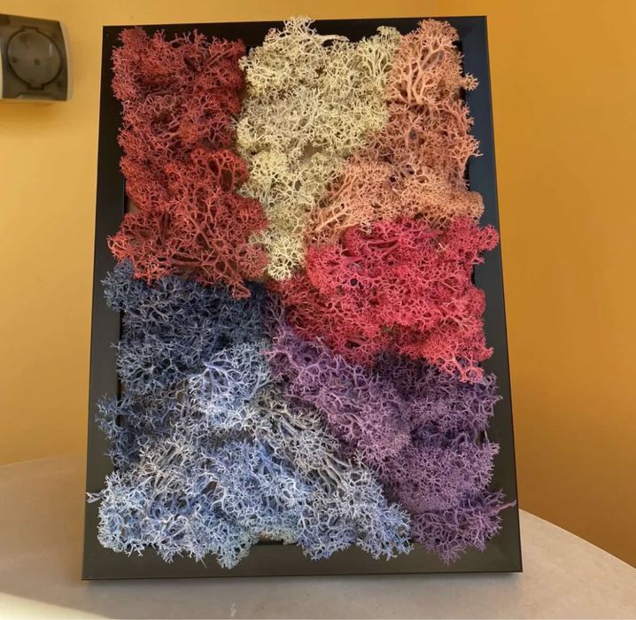 Картини от скандинавски мъх