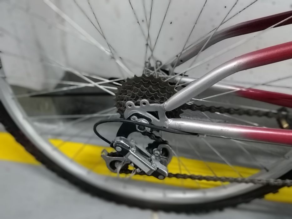 Mountain Bike  Bufalo