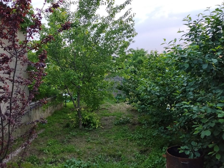 Hovli uy  sotiladi srochna Toshkent viloyati, Olmaliq shahrida
