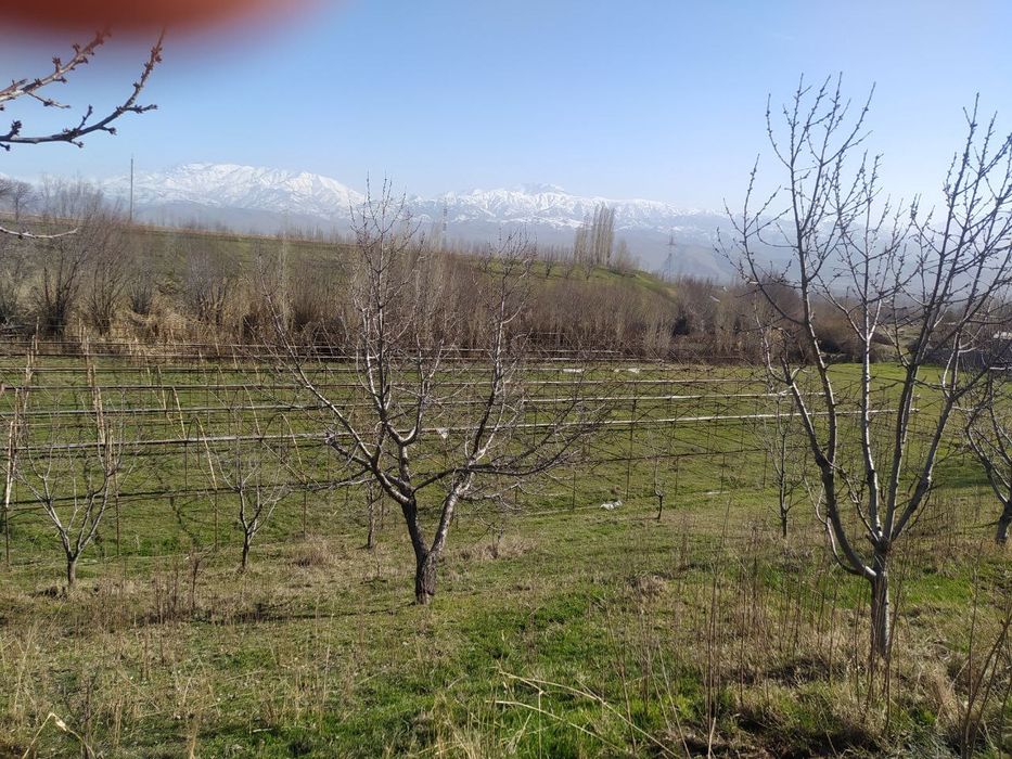 Срочно продаётся земля 40 соток