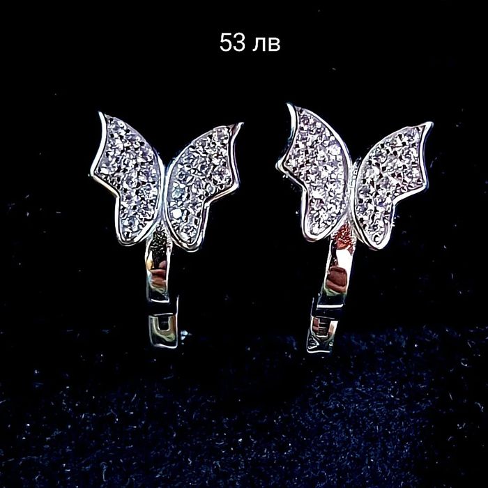 Обеци с циркови 5.3г