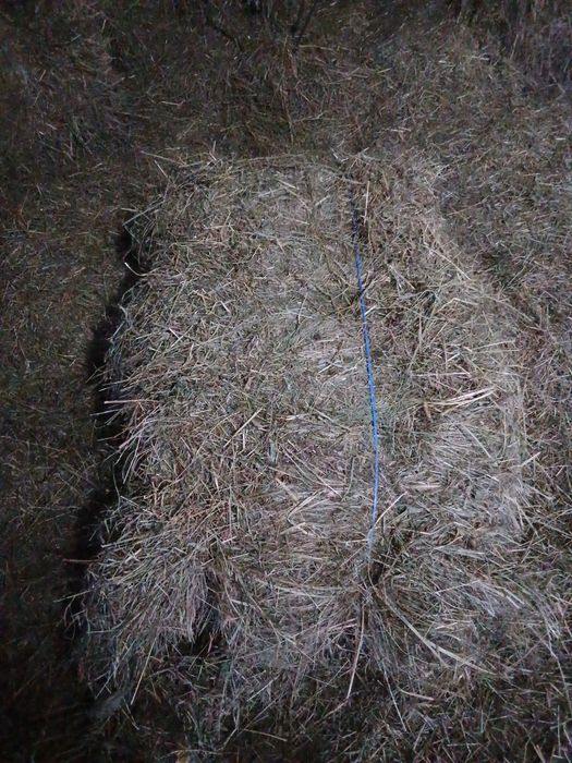 Baloti dreptunghiulari de otava și fîn !!!