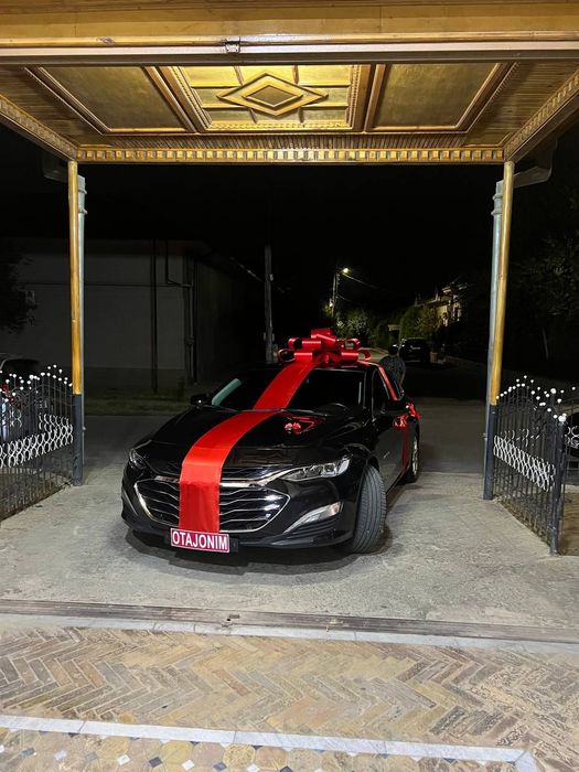 Bantik bant lenta автобантик МЕД ГОРОДОК