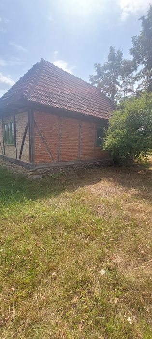 Vând casa cu grădină