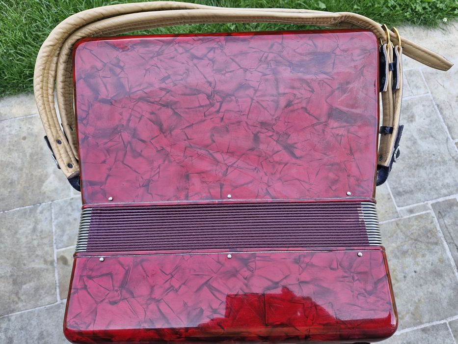 Acordeon Parrot cu 60 basi roșu